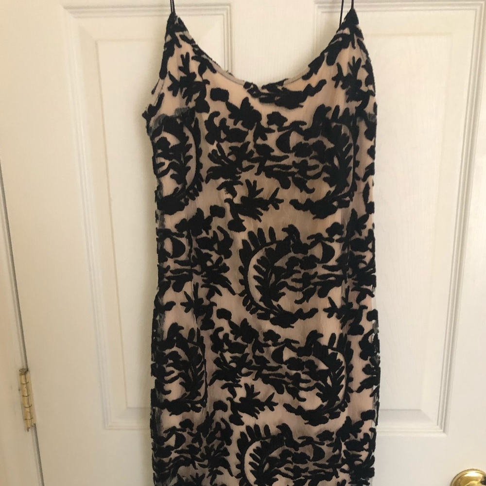 NBD Black Lace Cocktail Dress